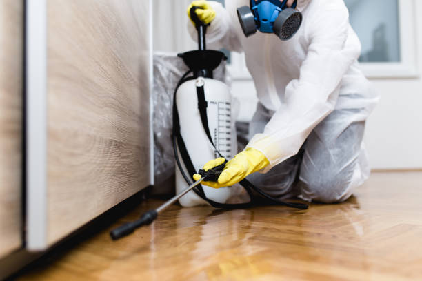 Best Pest Control for Restaurants  in Moss Beach, CA