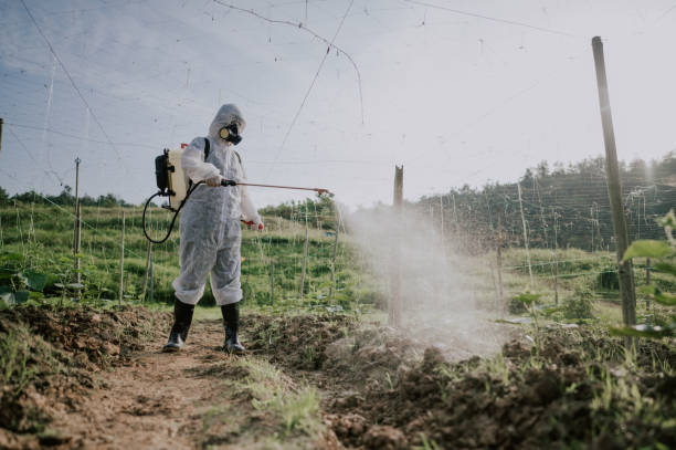 Best Pest Prevention Services  in Moss Beach, CA