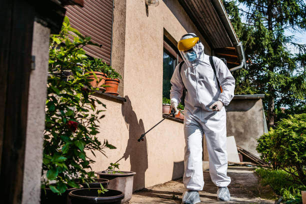 Best Emergency Pest Control  in Moss Beach, CA
