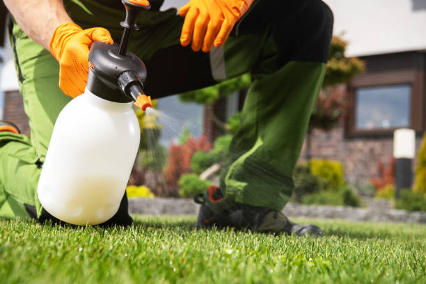 Best Pest Prevention Services  in Moss Beach, CA