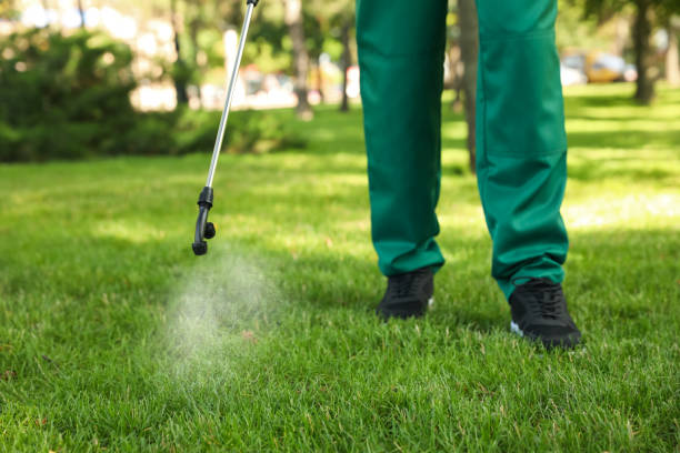Best Mosquito Control Services  in Moss Beach, CA