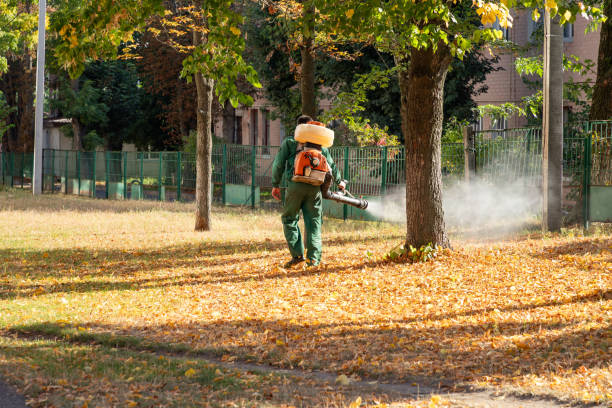 Best Affordable Pest Control Services  in Moss Beach, CA