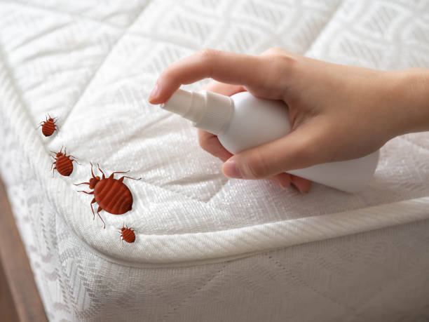 Best Affordable Pest Control Services  in Moss Beach, CA