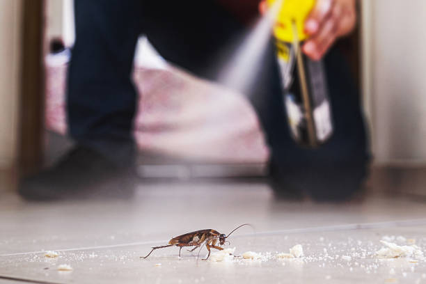 Best Bed Bug Extermination  in Moss Beach, CA