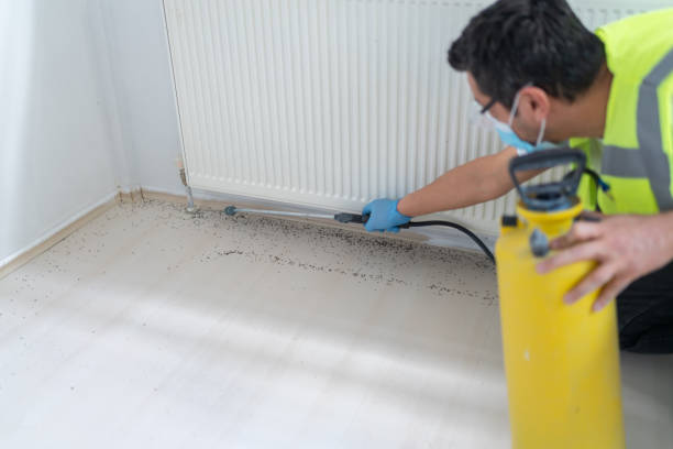 Best Rat Extermination Near Me  in Moss Beach, CA