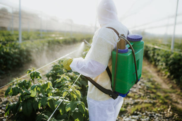 Best Rat Extermination Near Me  in Moss Beach, CA